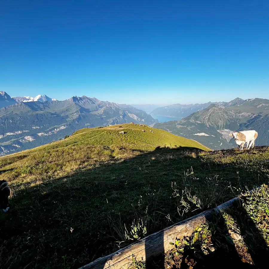 Vom Gipfel ins Tal blicken