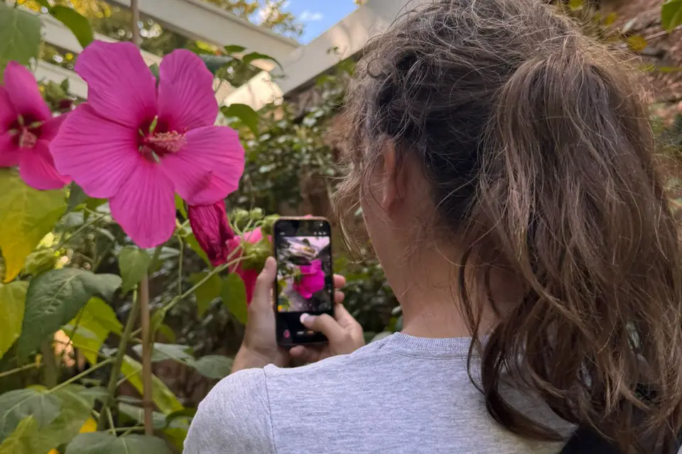 Jeannine Maurer beim fotografieren einer Blume. Einfach einmal geniessen und pausieren.