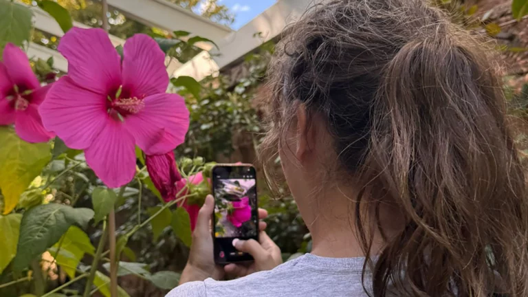 Jeannine Maurer mit dem Rücken zum Betrachter. Fotografiert pinke Blume